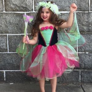 Fairy Costume
